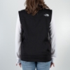 Northface Vest Product Image on white background